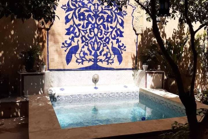 Riad Tara photo 4