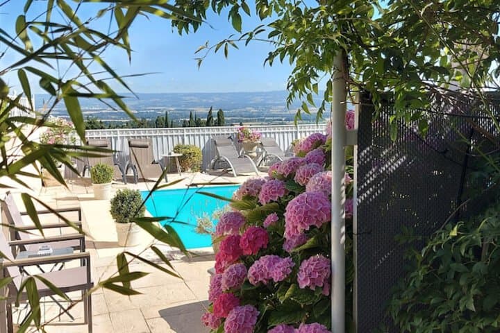La Belle Vie photo 1