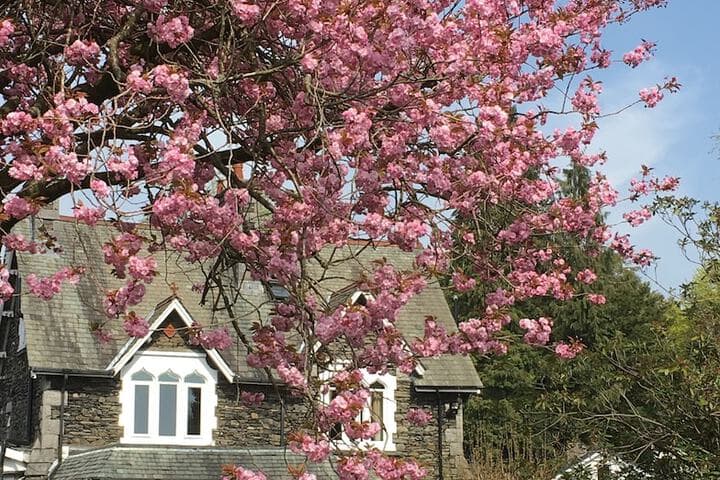 The Hideaway at Windermere photo 4