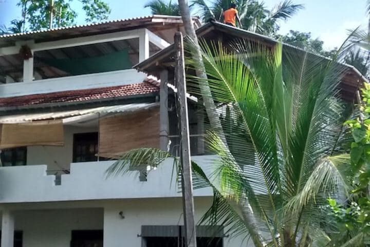 Jungleside House photo 4