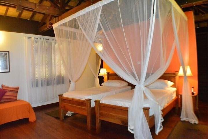 Heliconia Grove photo 4