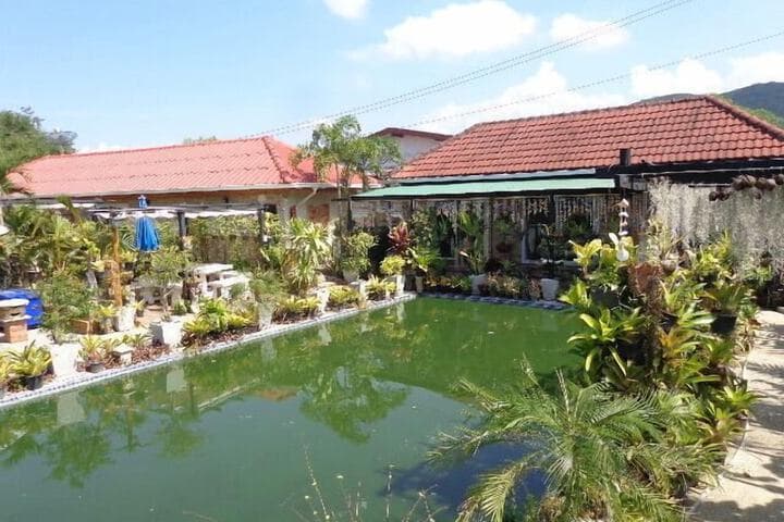 One D Homestay photo 5