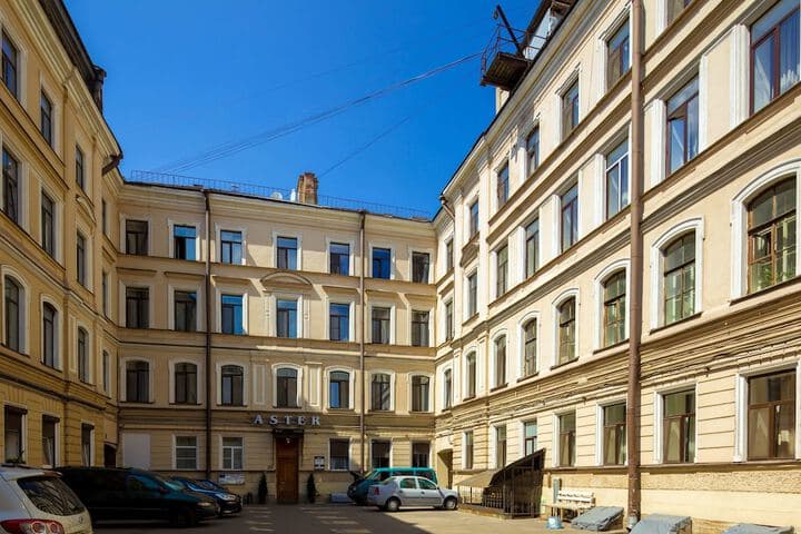 Nevsky Aster photo 5