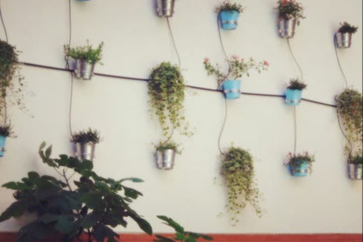 Mio Hostel photo 2