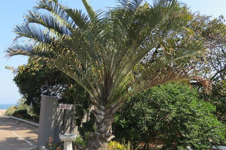 Beachcomber Bay Guest House photo 3
