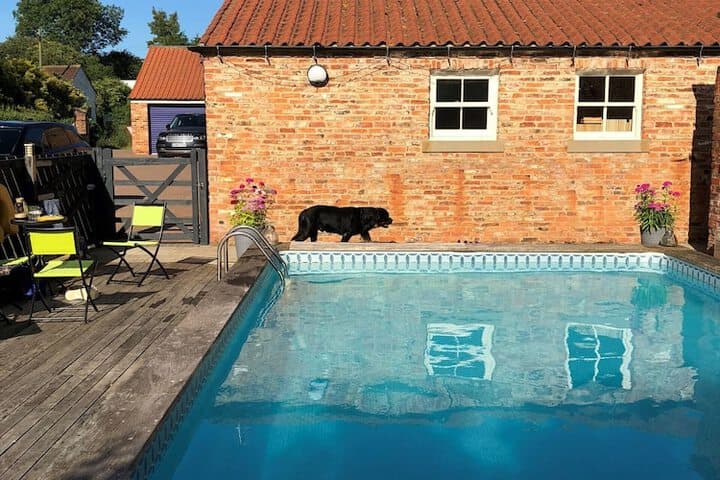 Newsham Grange Farm Bed&Breakfast photo 4