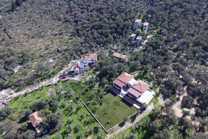 Geras Olive Grove photo 2