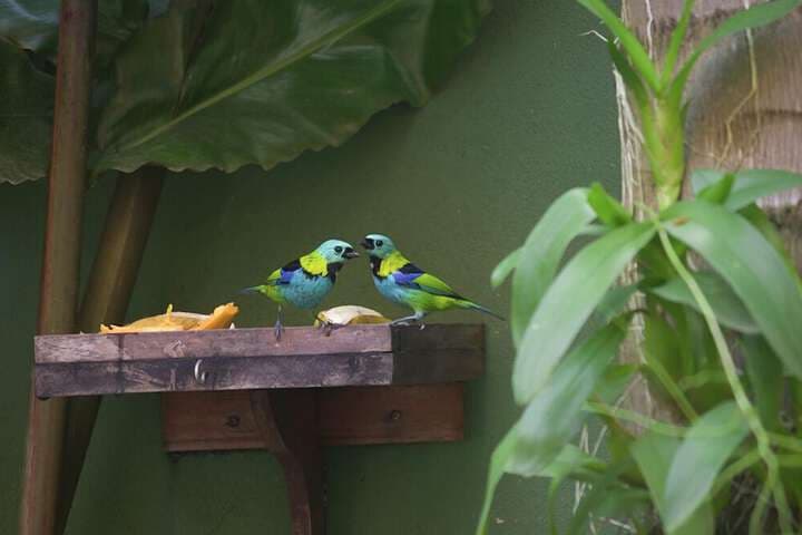 Pousada Refúgio Tropical Paraty photo 2
