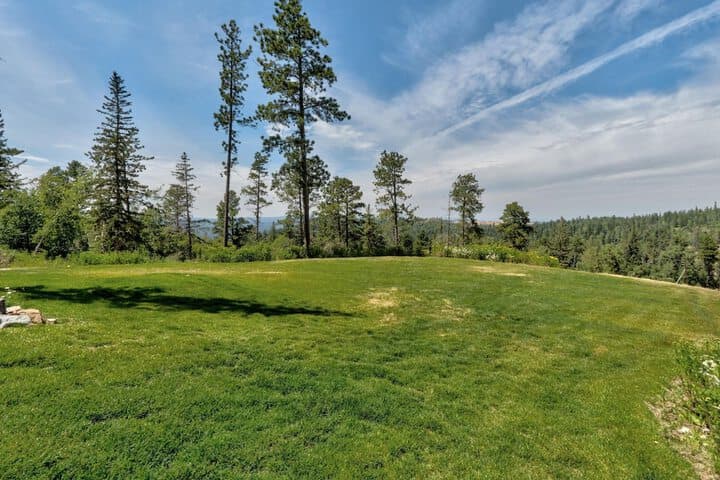 Little Hope Chalet at Terry Peak photo 4