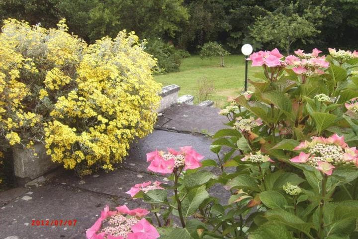 SunnySide Cottage photo 2