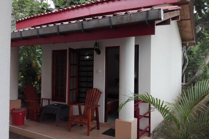 Amara Guest photo 2