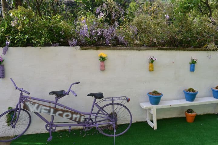 Sorrento Experience photo 4