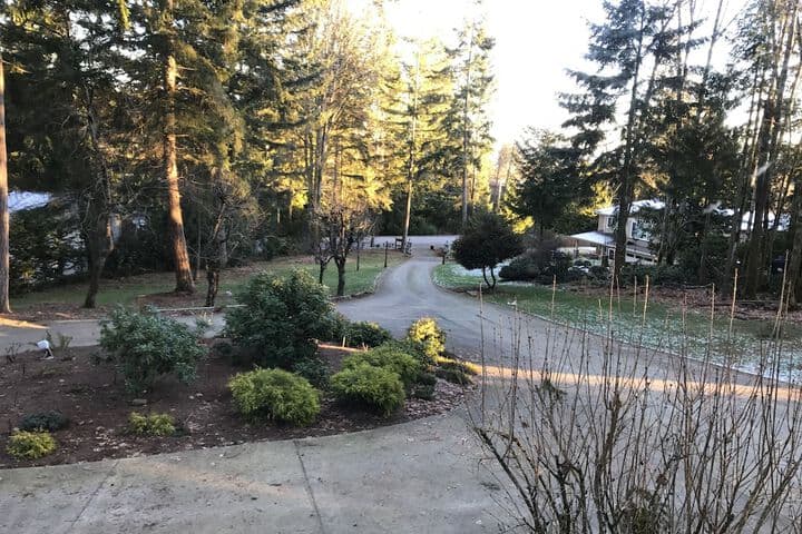 Maple View Bed&Breakfast photo 3