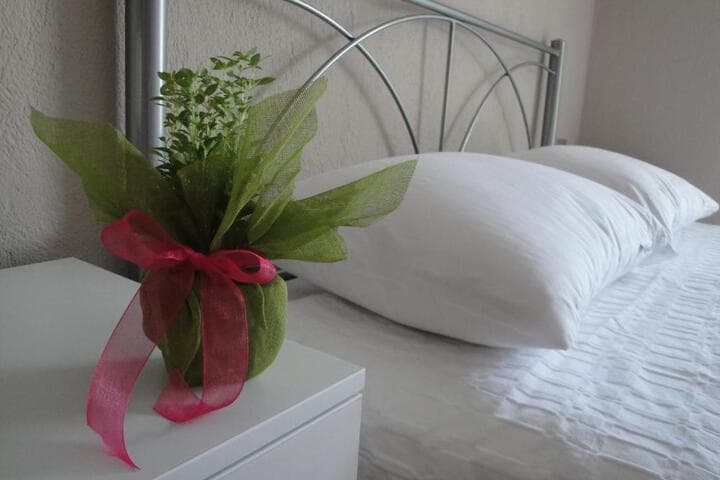 Amaryllis Studios photo 4