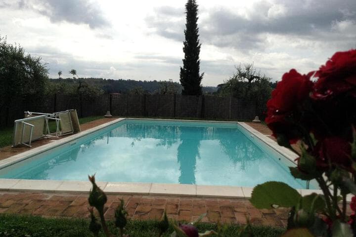 Il Glicine photo 5