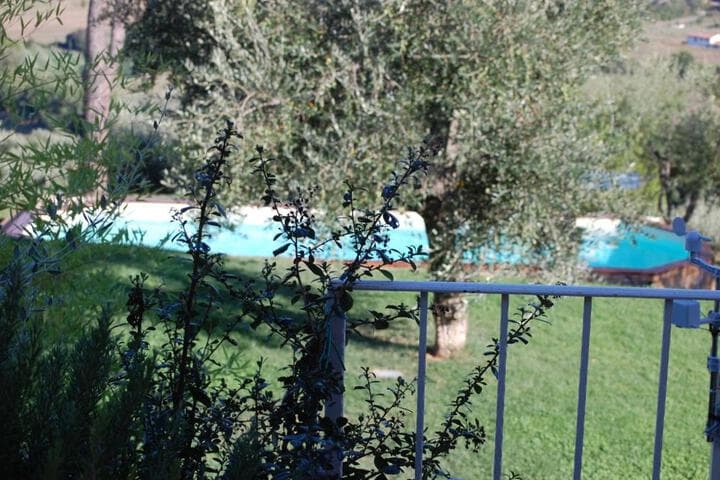 Il Pino photo 3