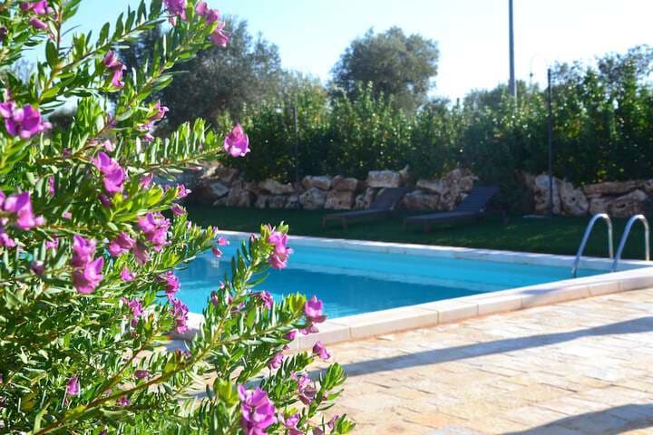 Masseria SantAngelo photo 2