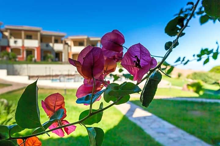 Le Farfalle Residenza photo 4