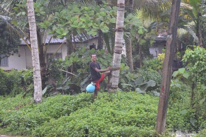 FEEL Beach Villa photo 5