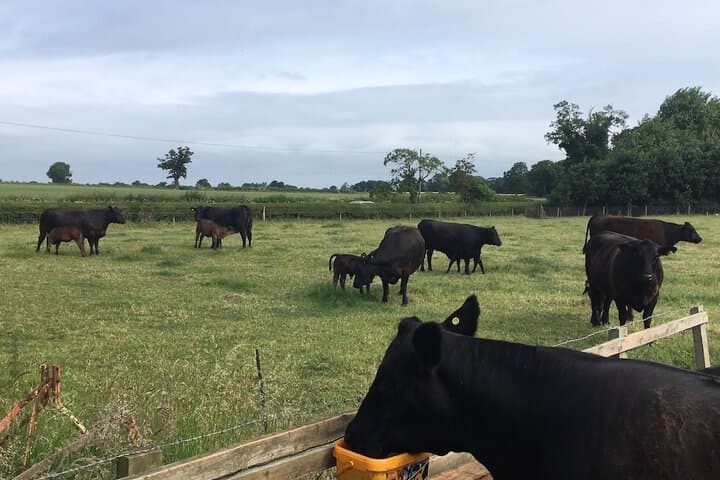 Marsh Farm photo 2