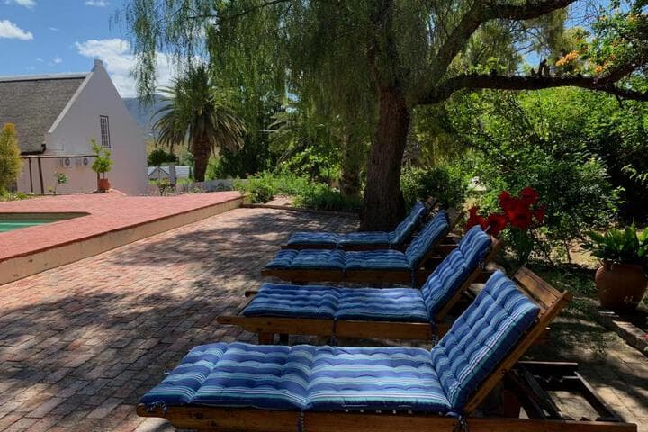 Port Wine Guesthouse photo 4
