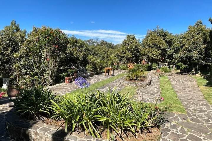 Cabañas La Huerta photo 3