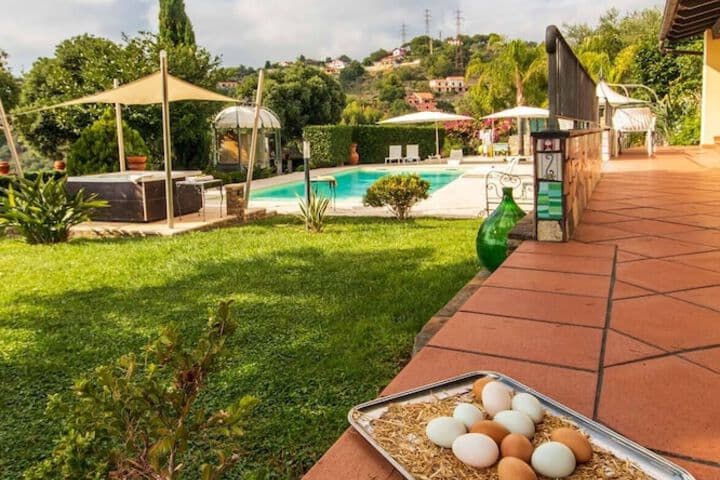 Il Mirto Bed&Breakfast photo 5