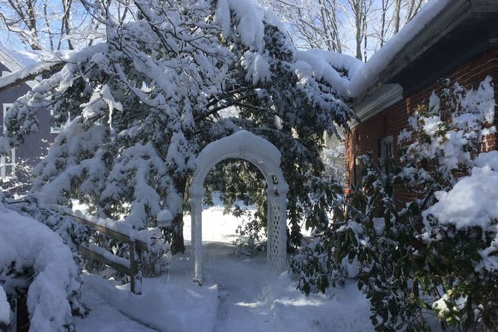 The Silver Fountain Inn photo 4