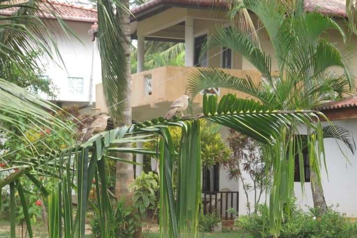 Beach Lagoon Guesthouse photo 2