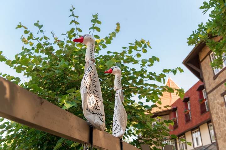 Guest House Blizhnie Dubki photo 3