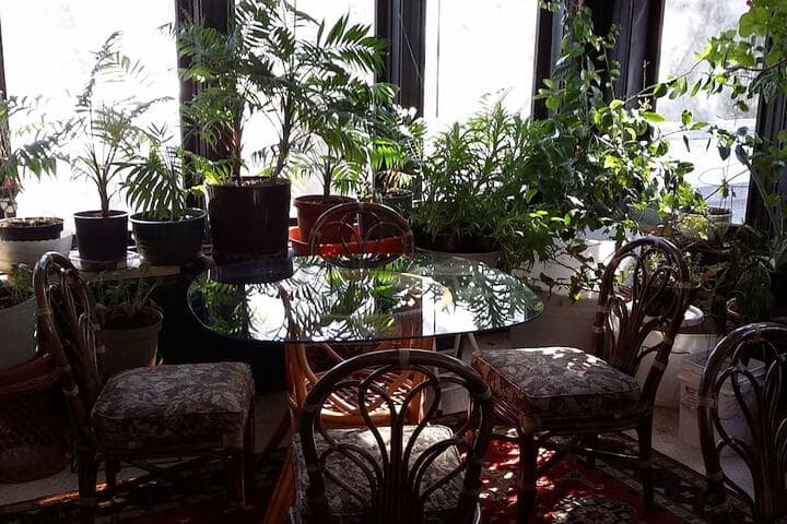 Chestnut Charm Bed & Breakfast photo 3
