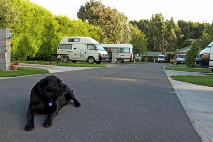 Invercargill Holiday Park & Motels photo 3