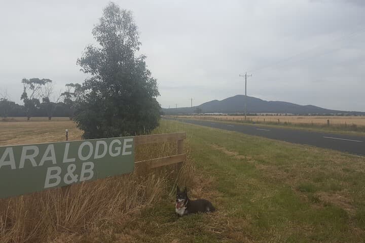 Lara Lodge photo 5