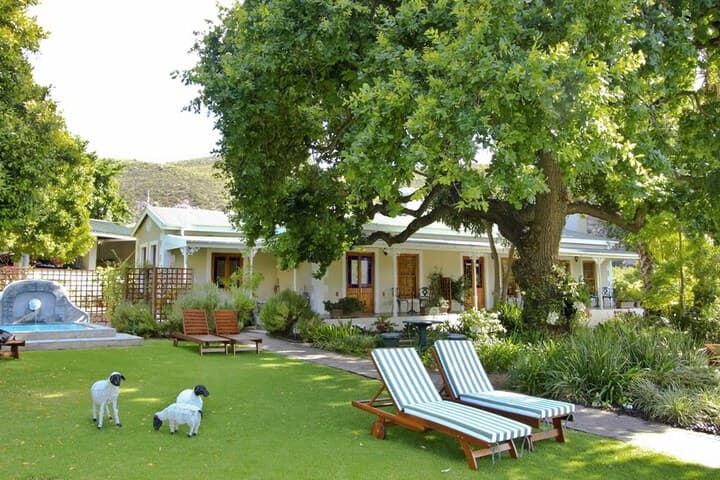 Montagu Vines Guest House photo 4