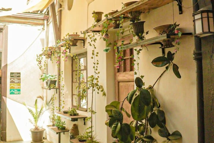 Hostal Providencia Hostel photo 2