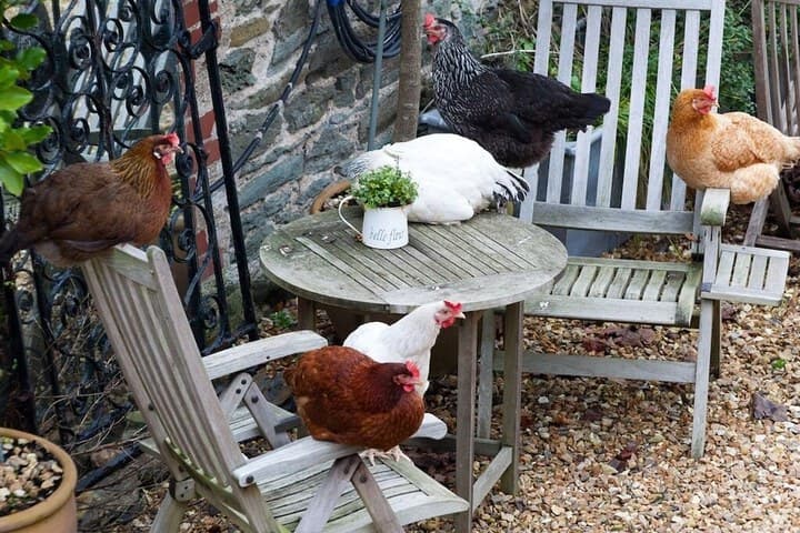 Glebe Farm B&B photo 3