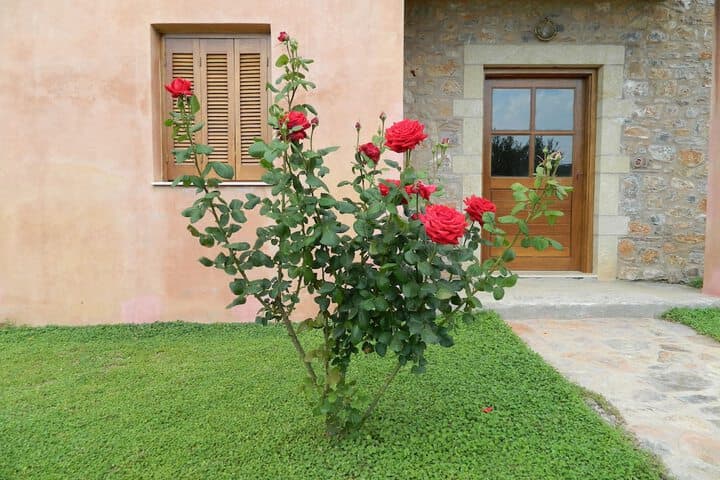 Liotrivi Historical Mansion & Boutique Hotel photo 5