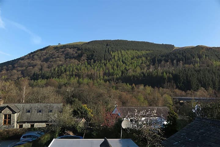 Brookfield B&B Guest House photo 2