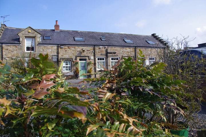 Blenkinsopp Castle Inn photo 2