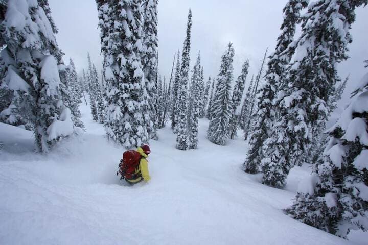 Snowy Mountain Lodge photo 5