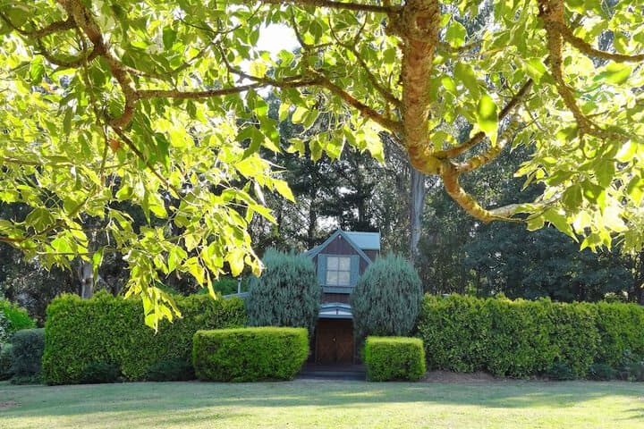 Gracehill photo 5
