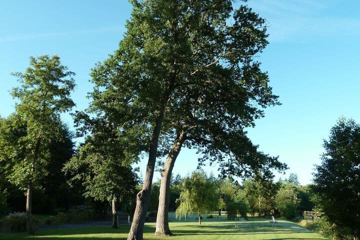 Domaine de la Tour B&B photo 2
