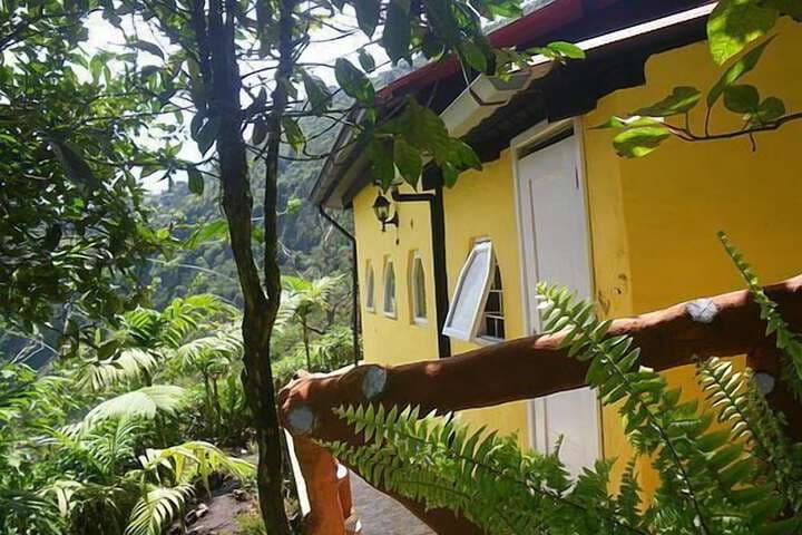 La Casa Amarilla photo 2