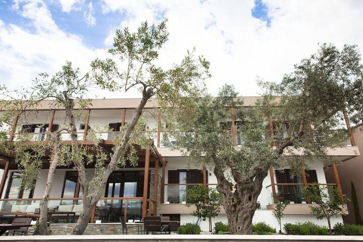 Ayia Marina Suites photo 5