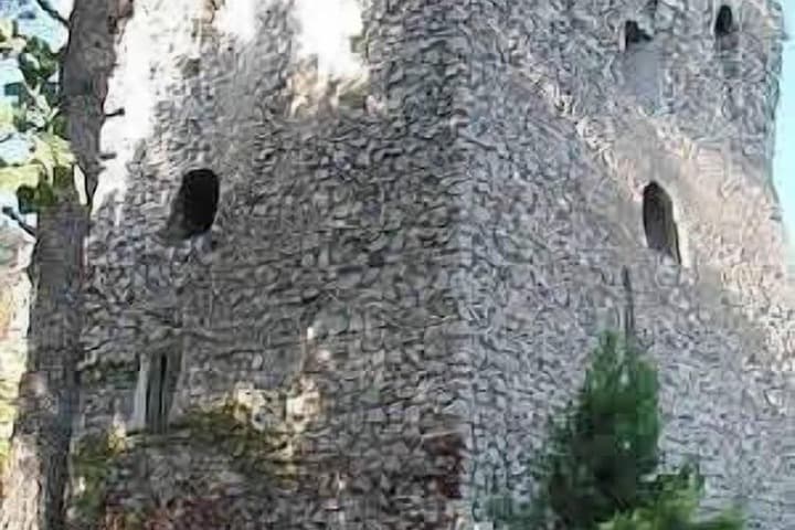 Torre Turbolo photo 3