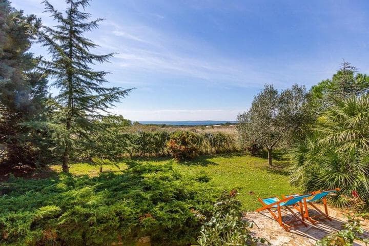 Holiday Home Ondina photo 1