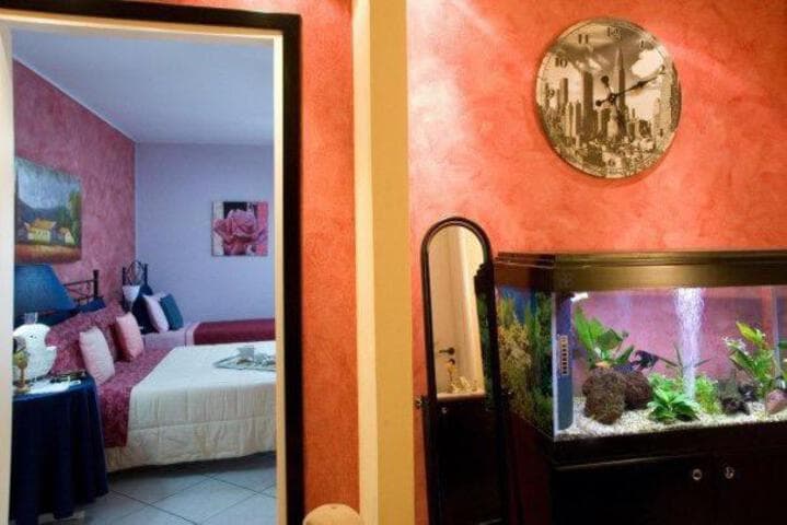 B&B Kore photo 4