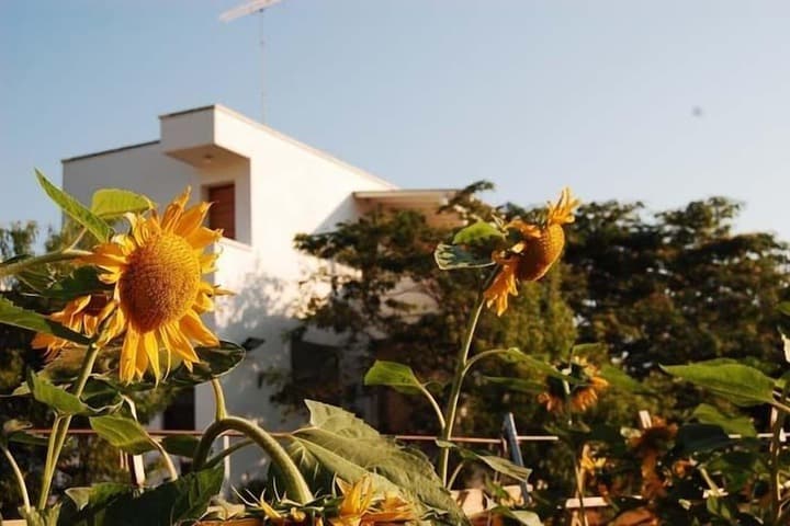 B&B casakarina photo 4