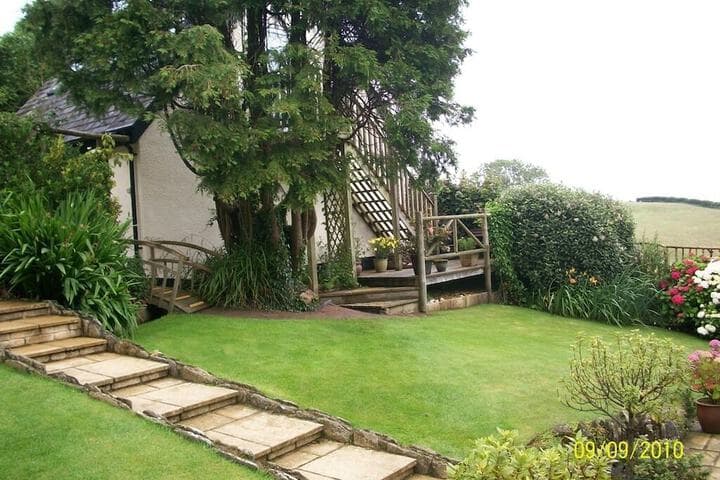 Frogwell photo 3