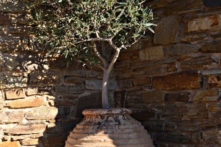 Tinos View photo 5